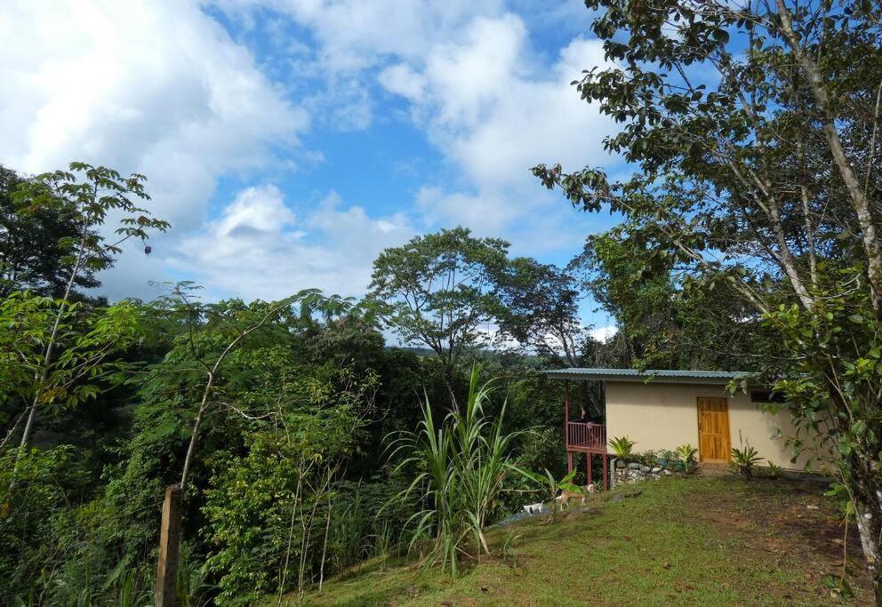 Tapiru'S House - Bahia Drake Apartment Drake Bay Exterior photo