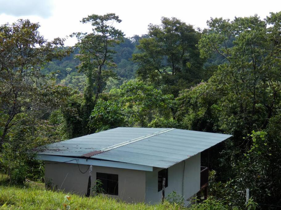 Tapiru'S House - Bahia Drake Apartment Drake Bay Exterior photo